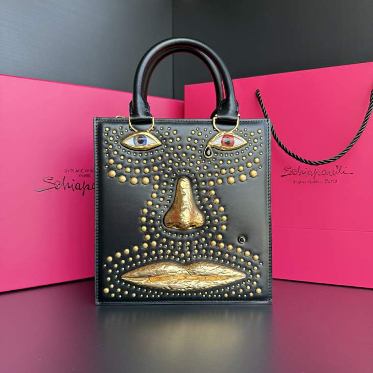 Picture of Schiaparelli Handbags _SKUfw236181121fw